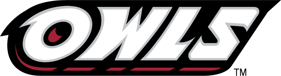 Temple Owls 1996-2014 Wordmark Logo DIY iron on transfer (heat transfer)